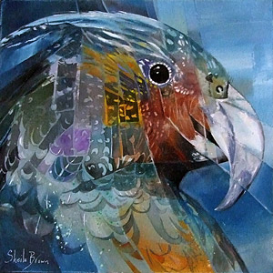 sheila brwon native nz bird artworks